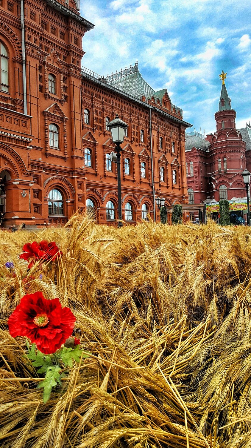 My Moscow