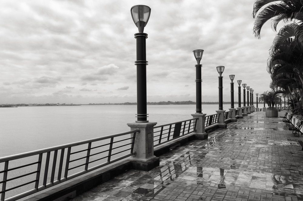 Дождливый день