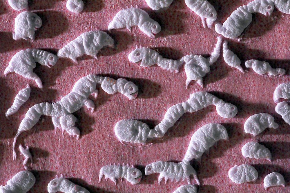 Глазами ребёнка...