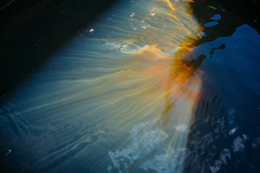 the light