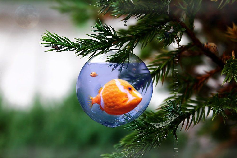 Уединение...