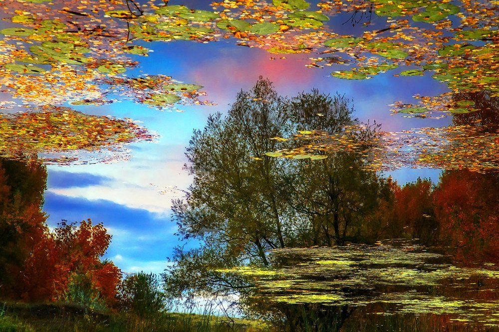 По ту сторону