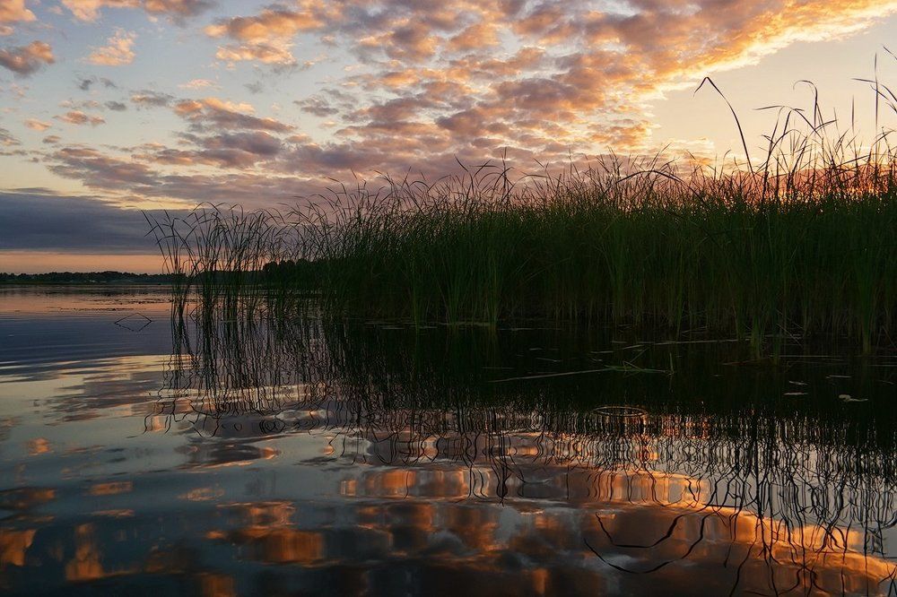 Приближение ночи