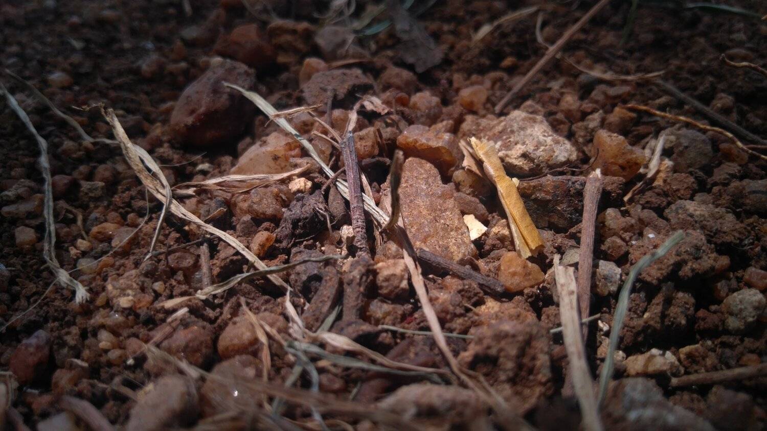 small