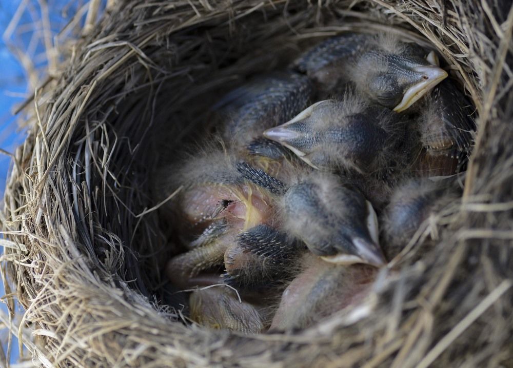 Эхх....почесаться бы.