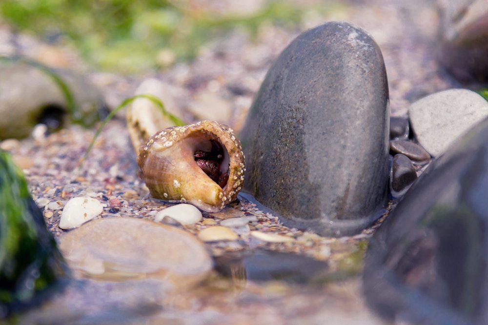 "Мне бы только зацепиться"