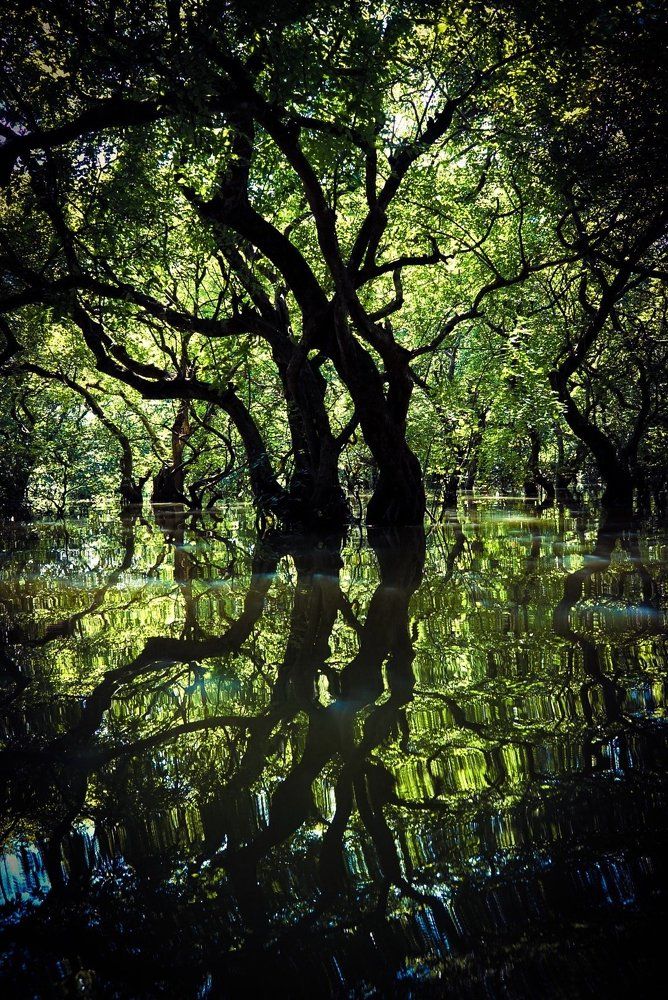 Reflection
