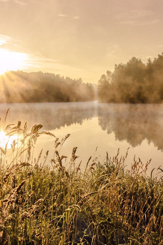 Туманное утро