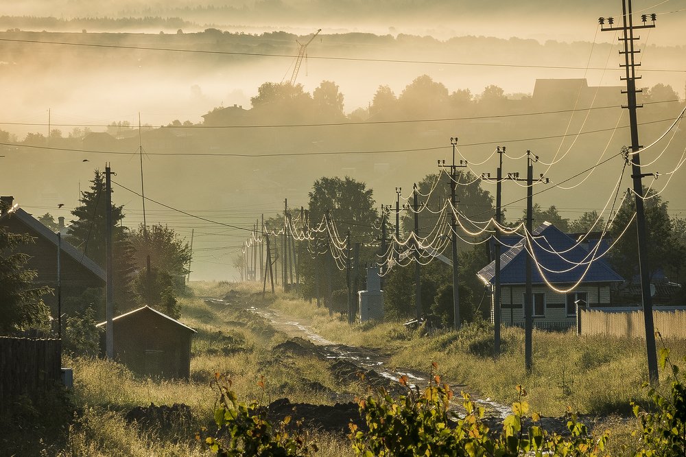 В паутине проводов.