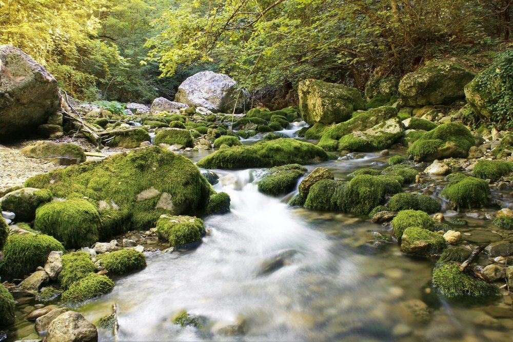 Молочные ручьи