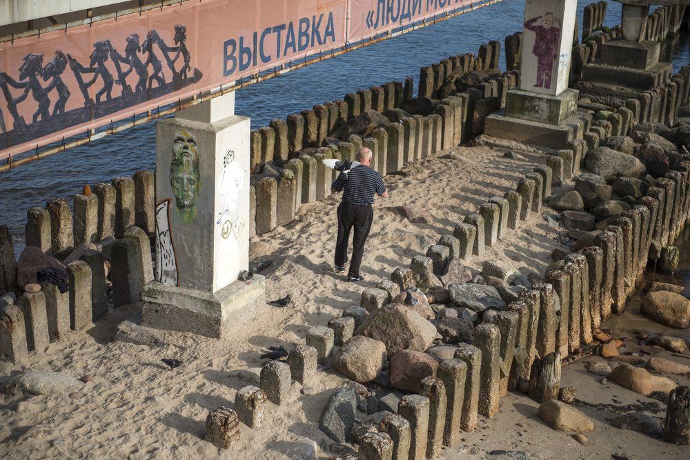 "Старик и голубь"