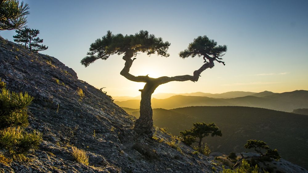 Photograph by вадим аврахов