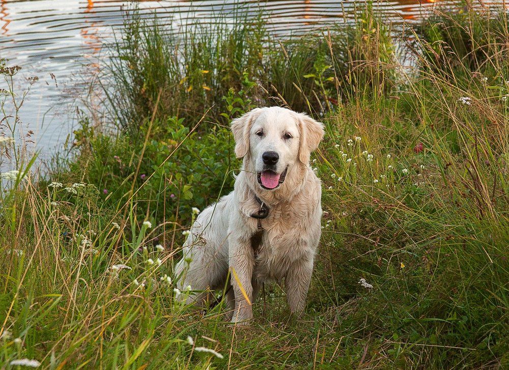 После купания.