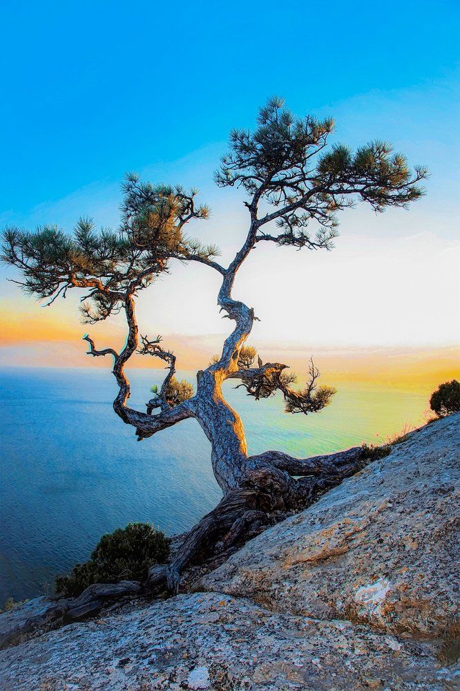 Photograph by вадим аврахов