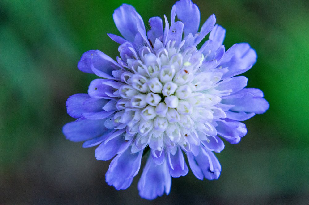 Photograph by Юлия Карпова