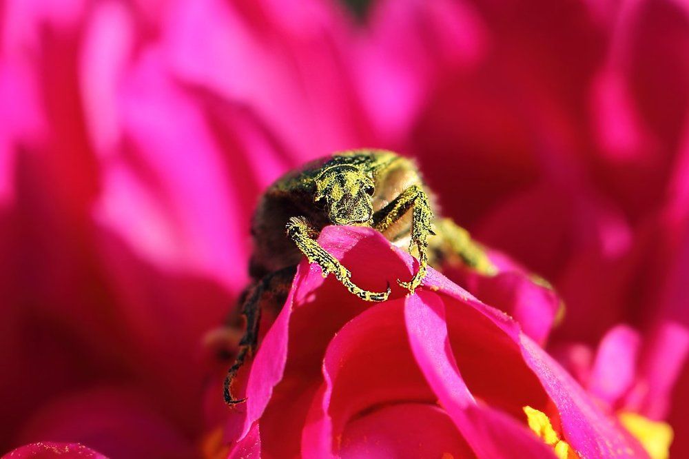 Грусть пусть на сердце не лежит, мне все на свете по плечу...