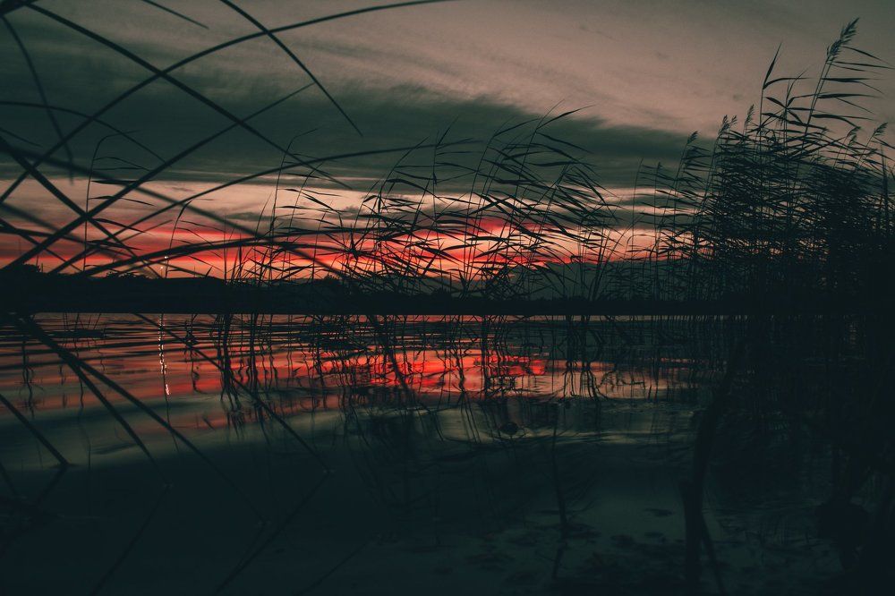 Darkness Red