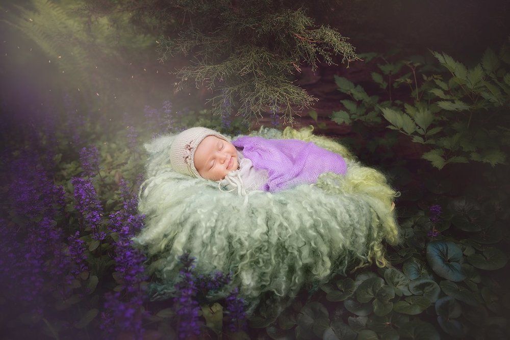 Фотография автора Яна Романова