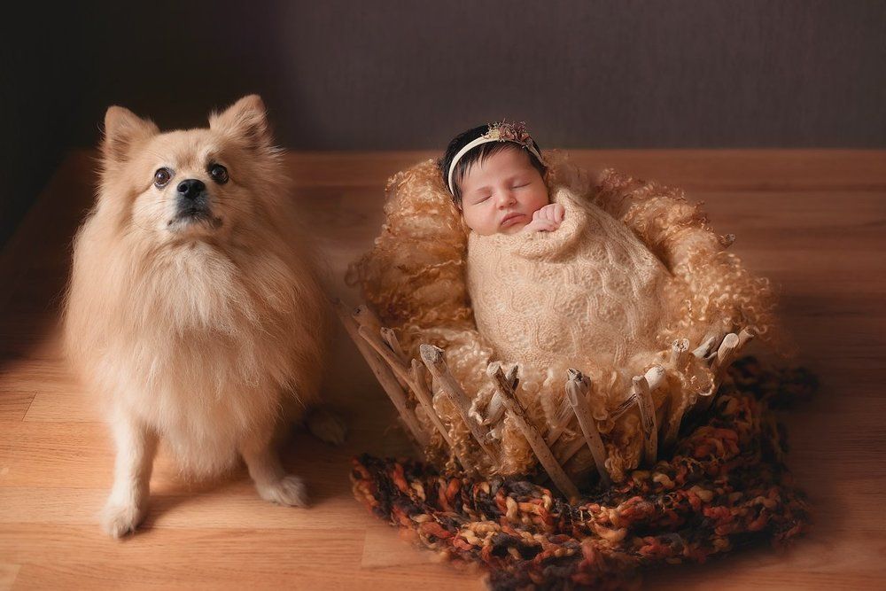 Будущие друзья