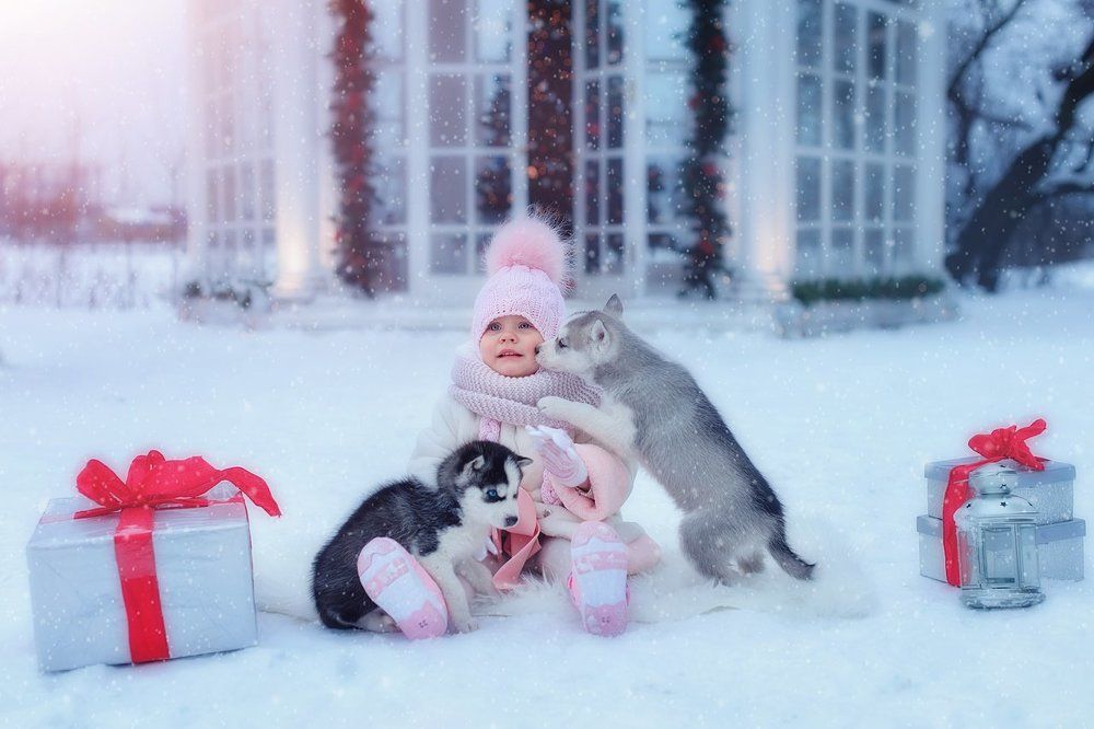 Фотография автора Яна Романова