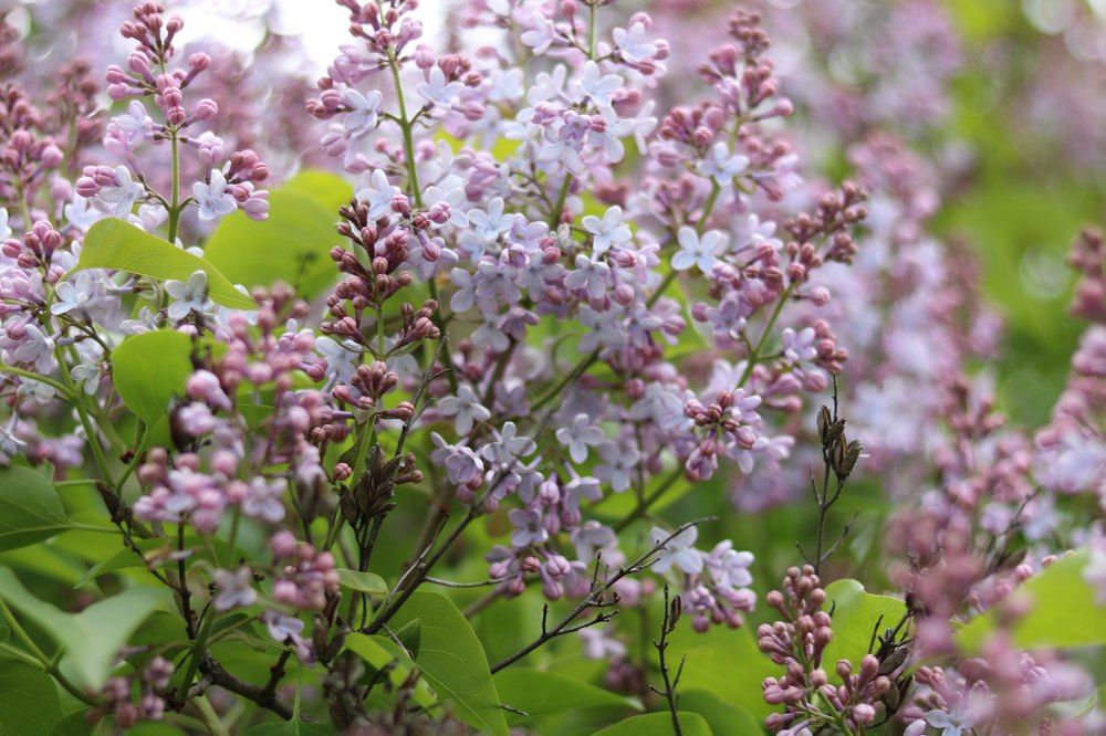 Это был холодный июнь