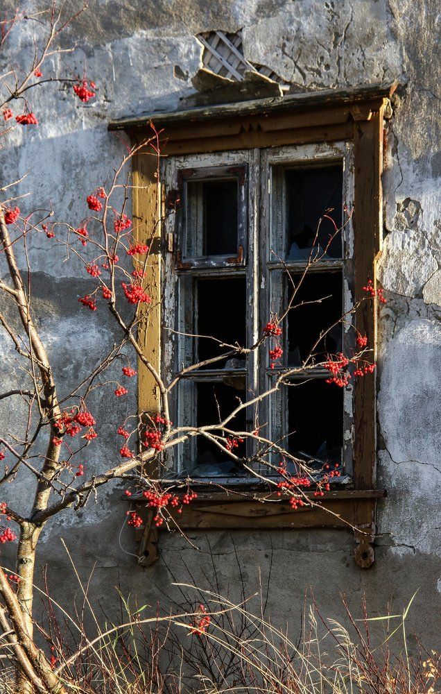 Photograph by Svetlana Guzeeva