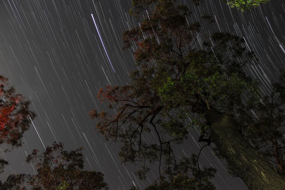 Millions of the Tiniest