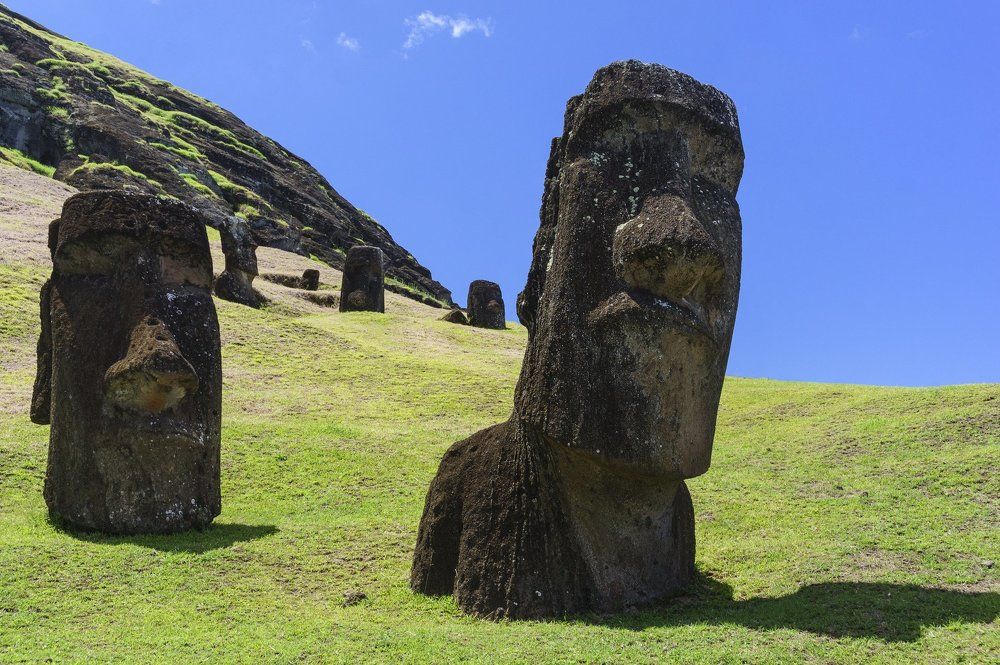 Дальние братья