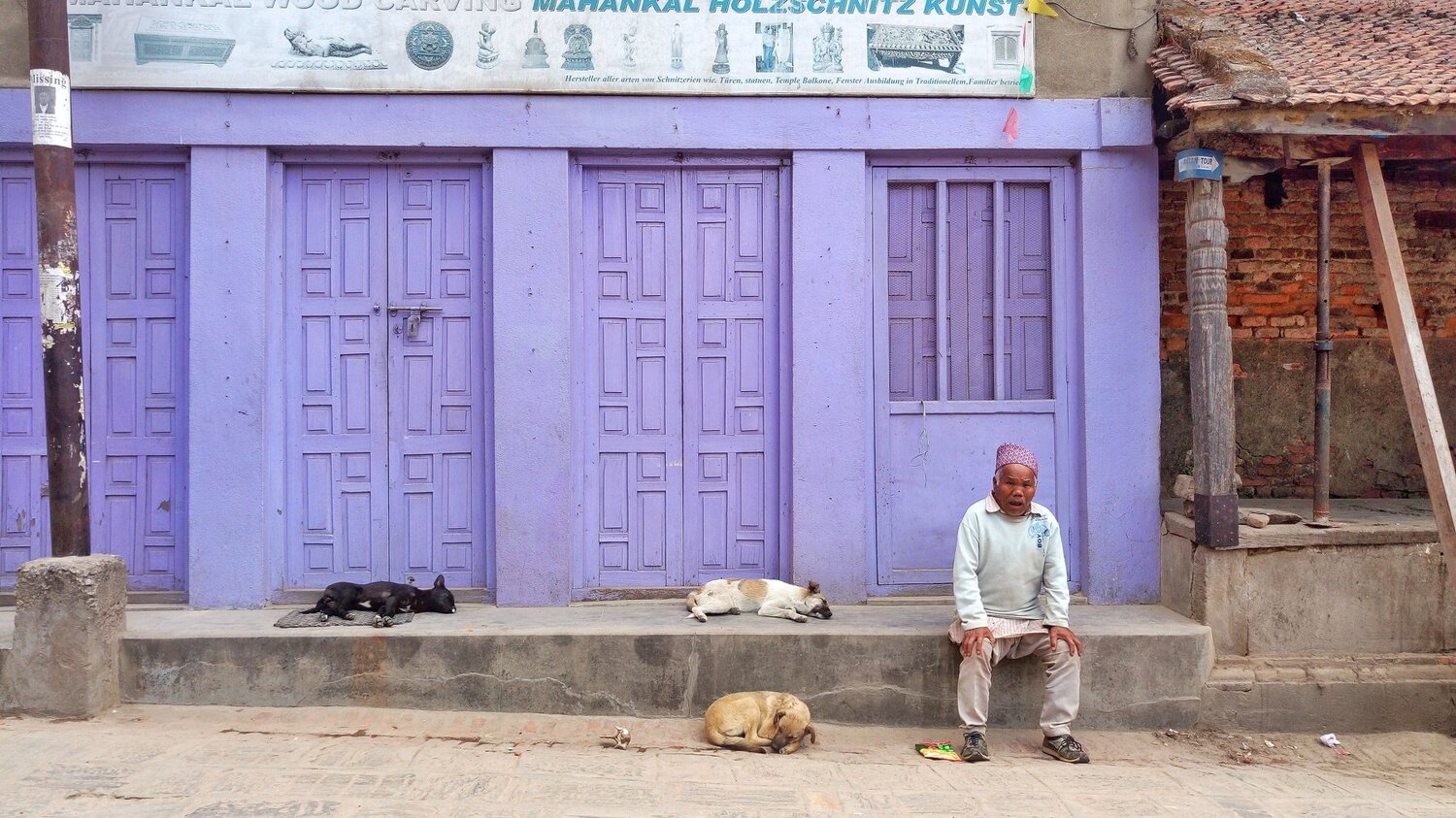 A Man and The dogs