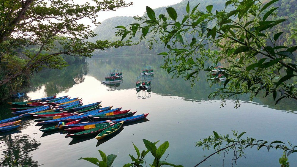 Stillness in Phewa Lake