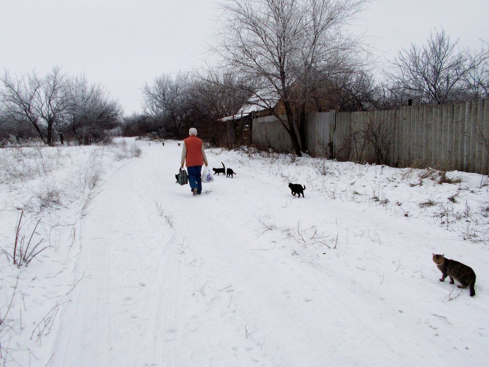 Photo #1886897