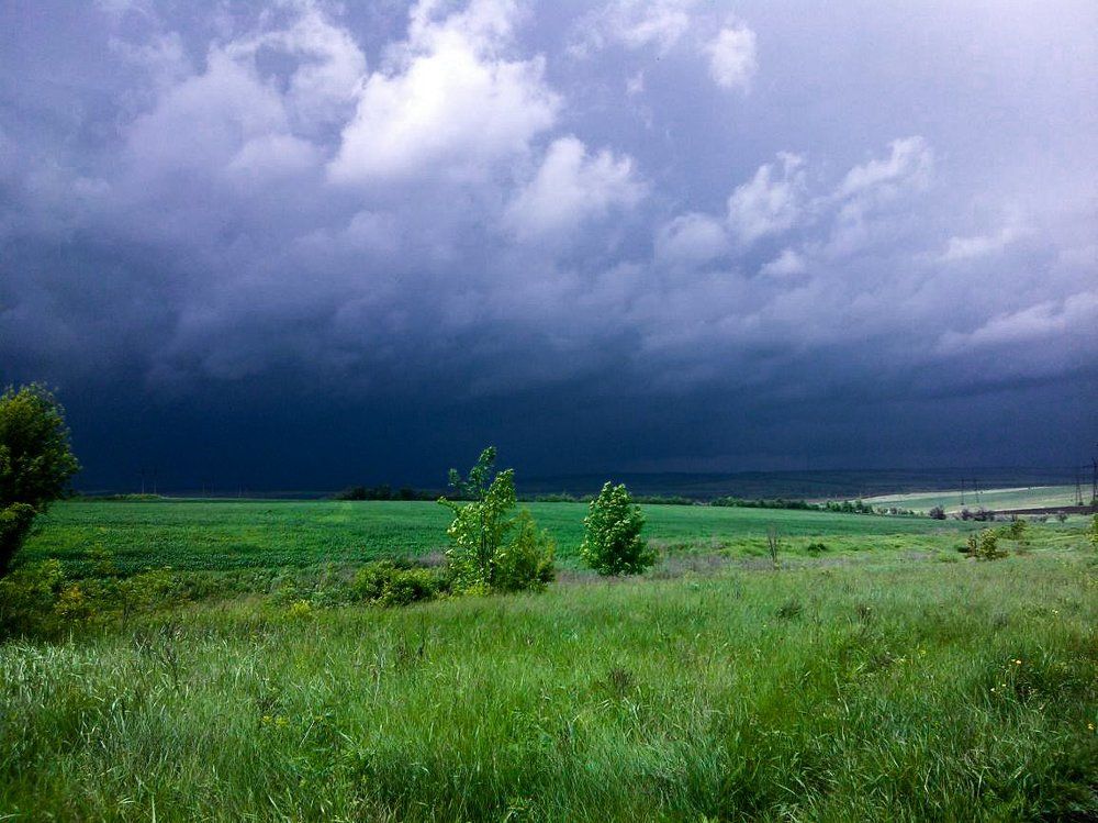 Photograph by Анастасия