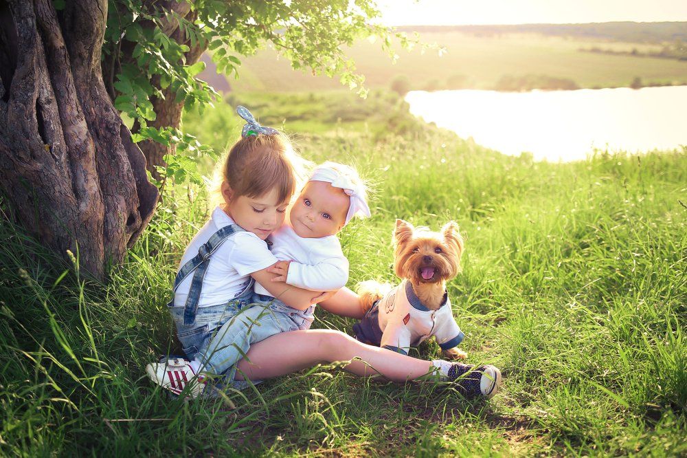 На прогулке