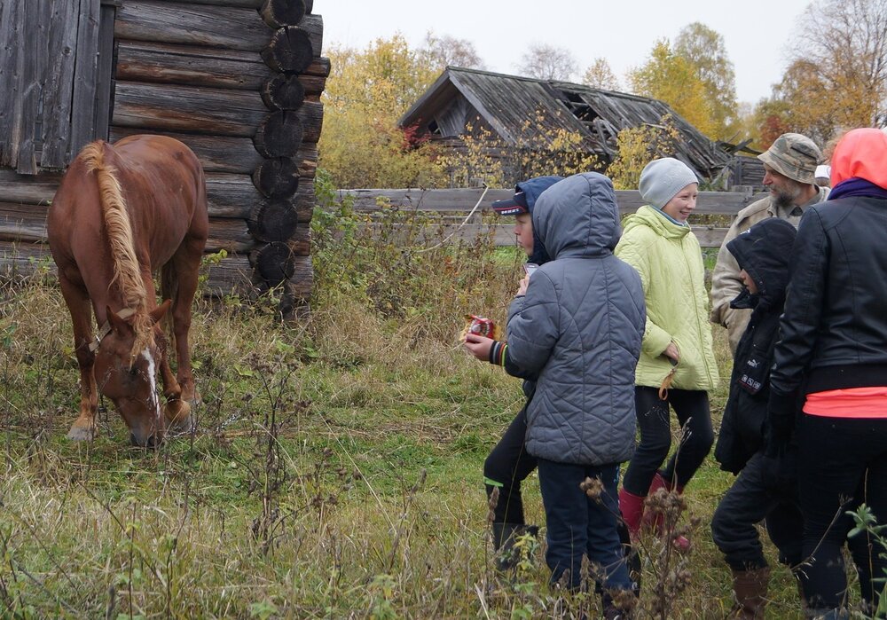 Покушай, лошадка!