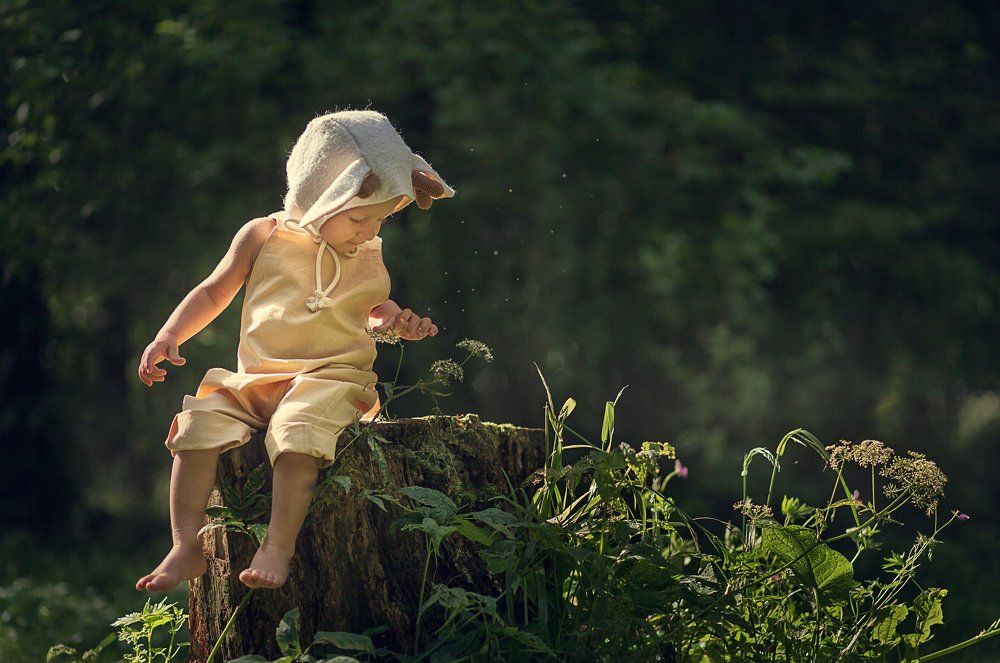 Лесная сказка