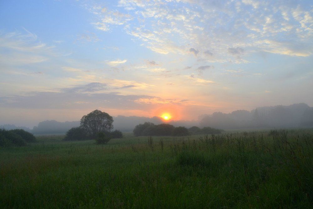 Доброе утро