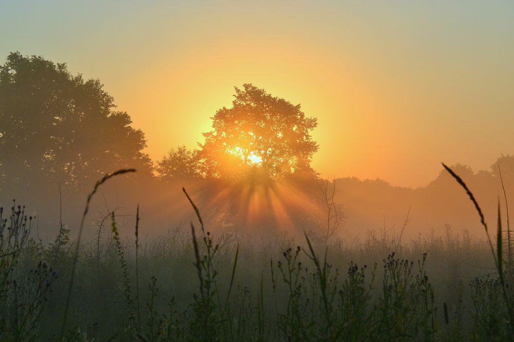 Здравствуй ,солнце!