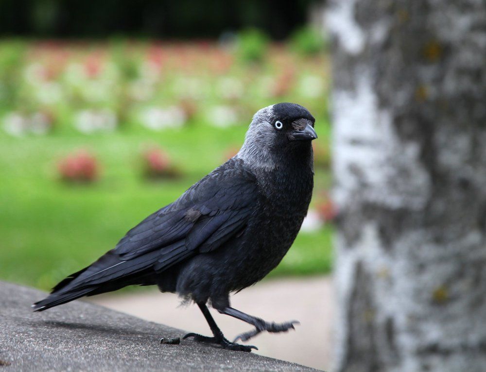 Так я пошла...