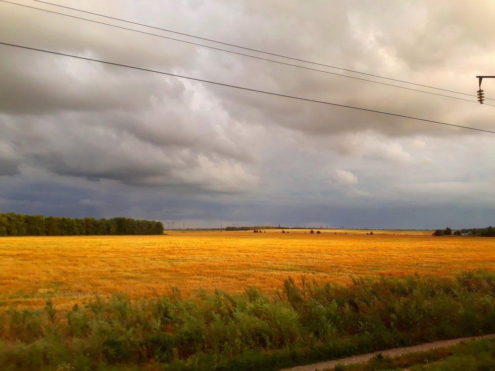 Август