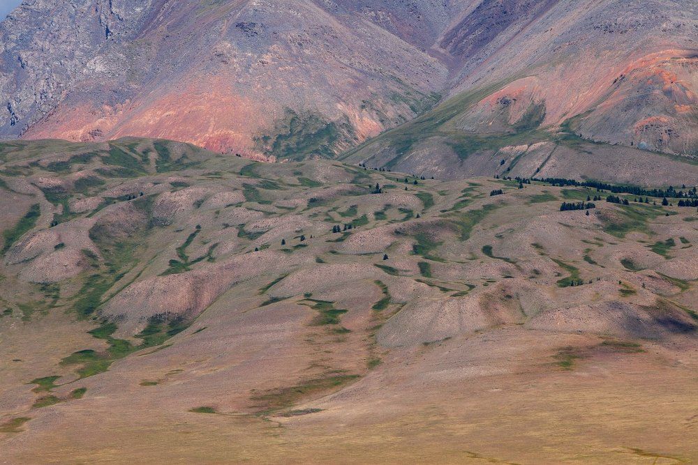 Узоры Курая.