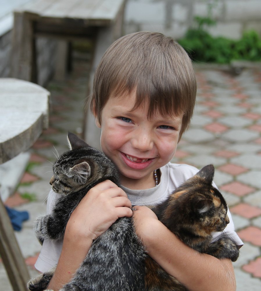 Обожатель кошек