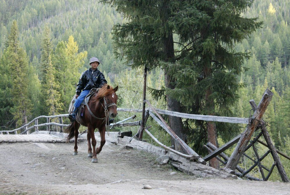 Юный наездник