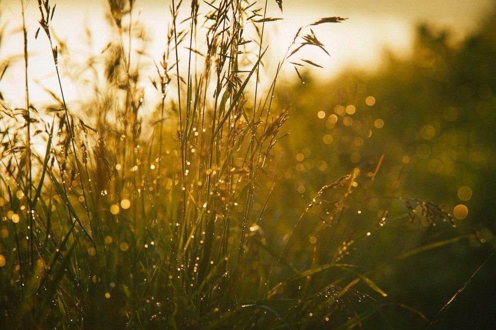 Солнце после дождя