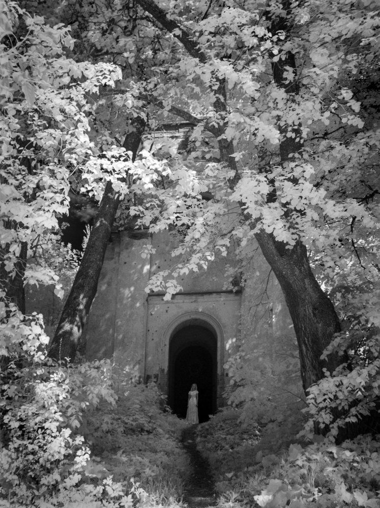 Когда деревья были большими