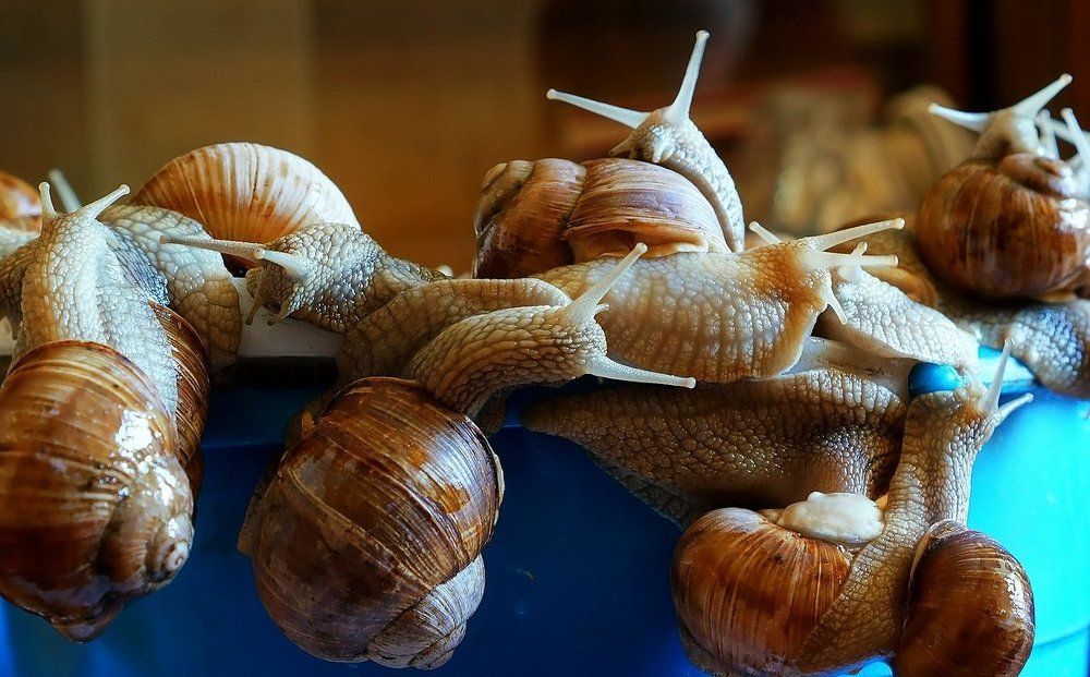 Фотография автора Valery Bel@kov