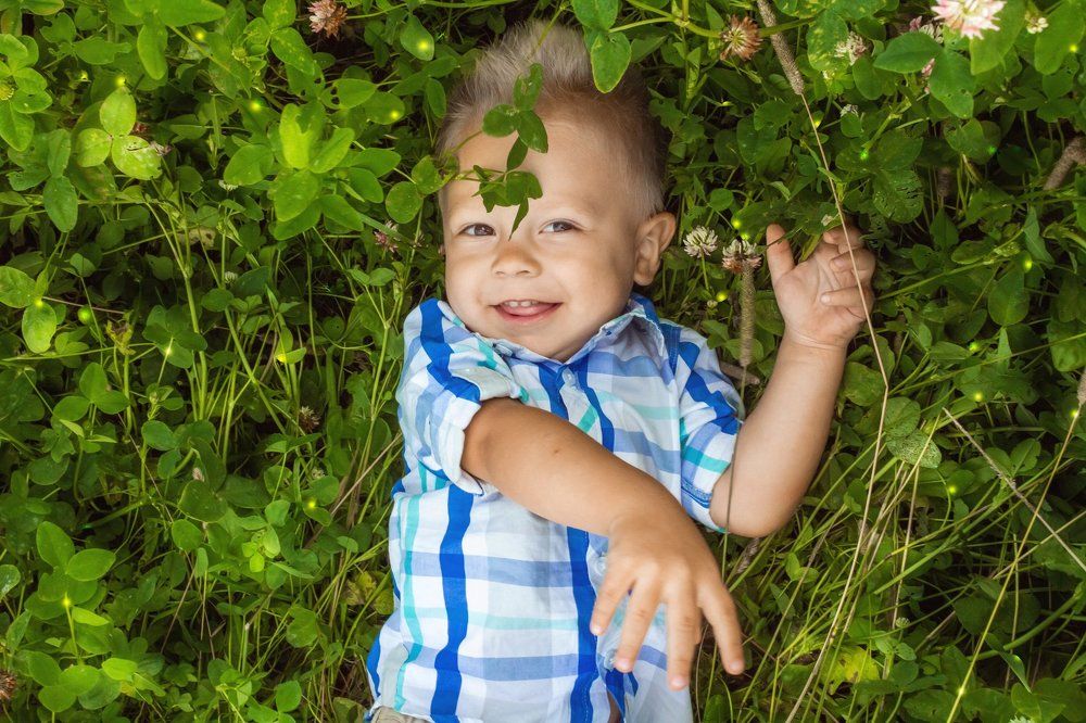 Как здорово валяться на полянке