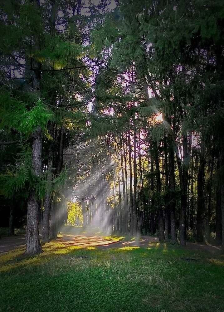 Лучи, пронизывающие душу.