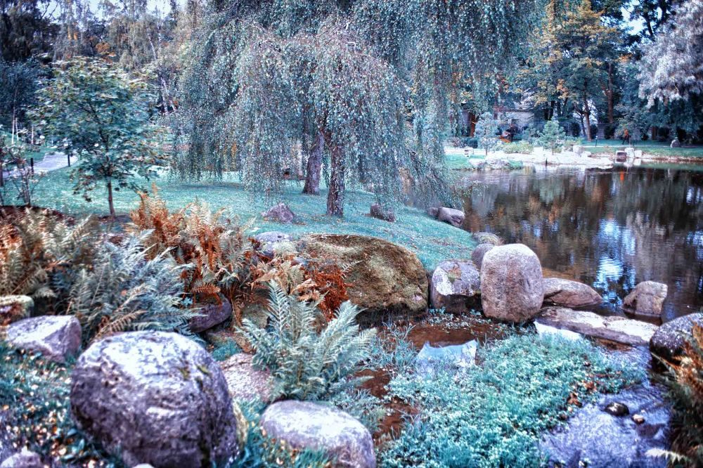 ПАРК ЮРСКОГО ПЕРИОДА