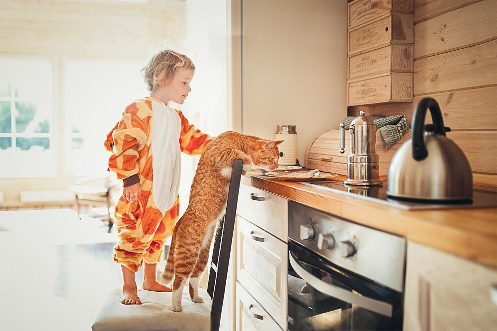 Photograph by Анна Родионова