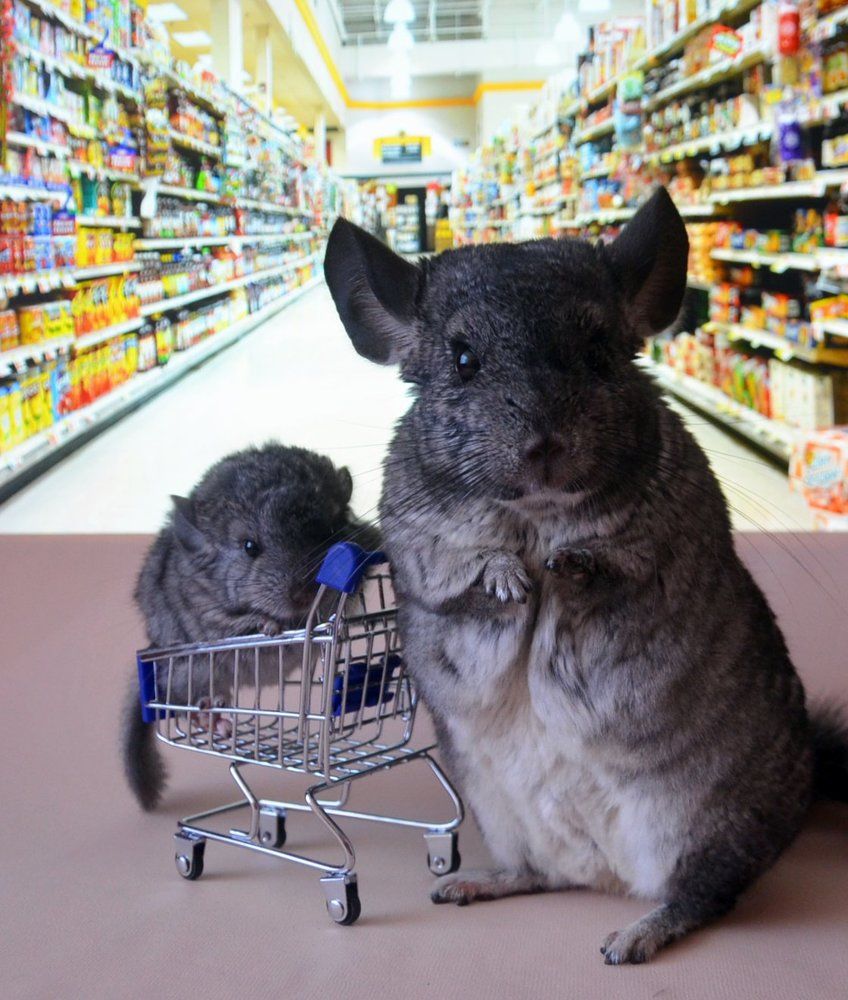 Photograph by Алиса Русскова